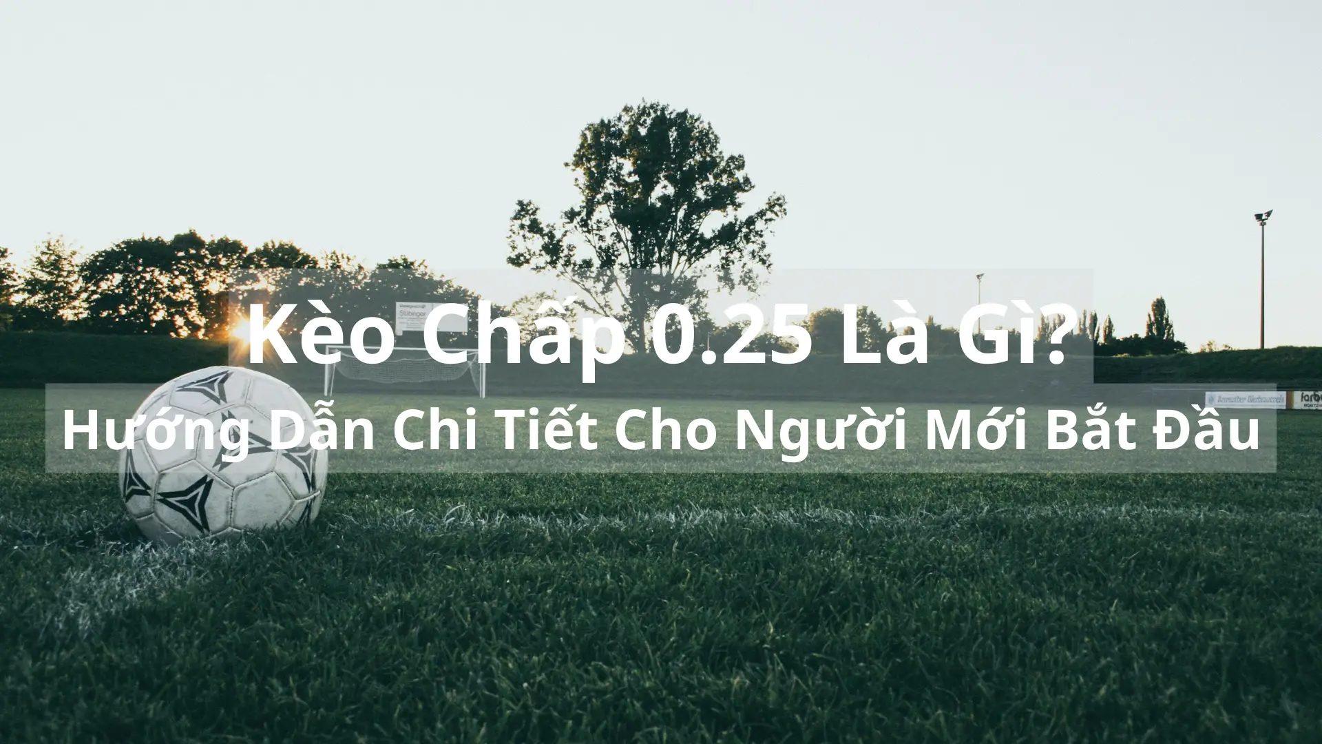 Kèo Chấp 0.25 Là Gì? Hướng Dẫn Chi Tiết Cho Người Mới Bắt Đầu