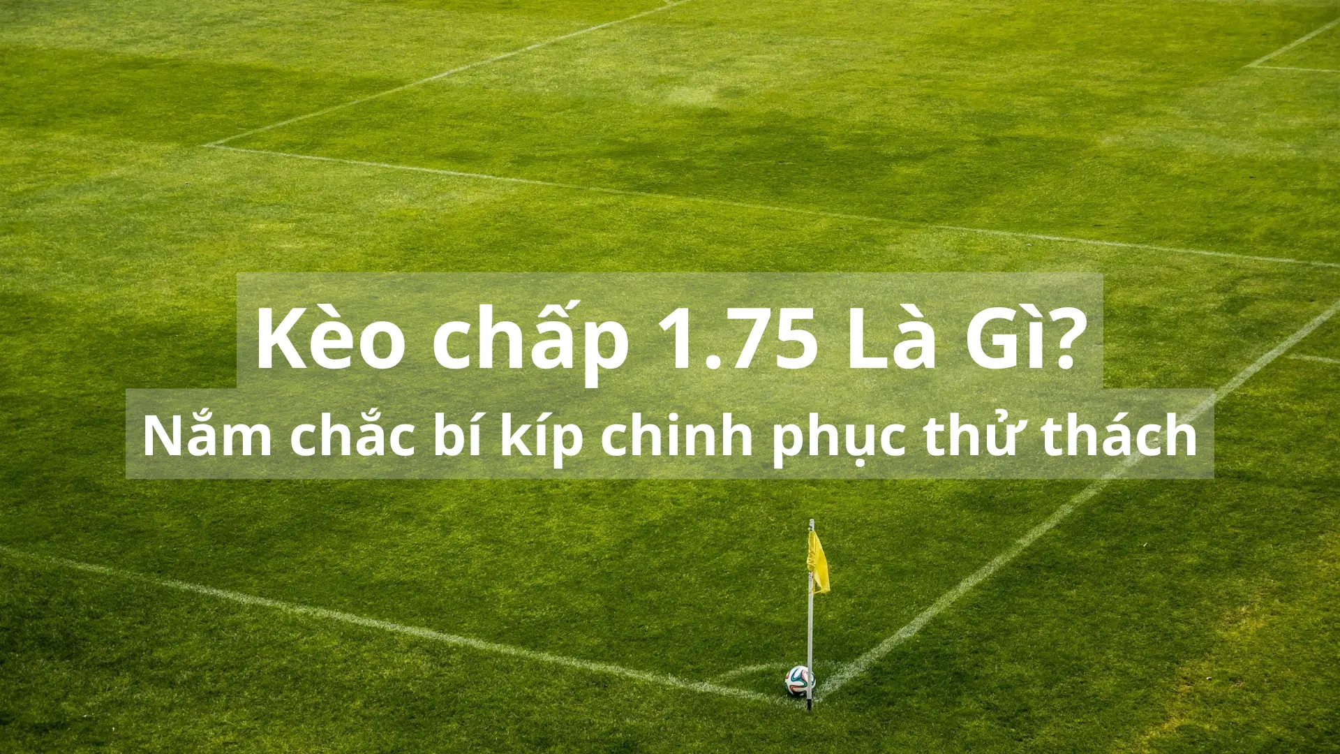 Kèo chấp 1.75 là gì? Nắm chắc bí kíp chinh phục thử thách