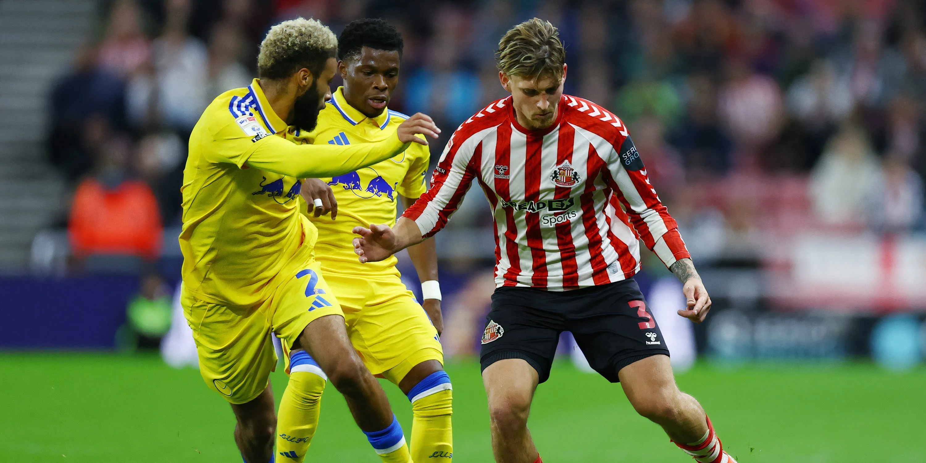Dennis Cirkin, hậu vệ Sunderland, mục tiêu tiềm năng của Wolves
