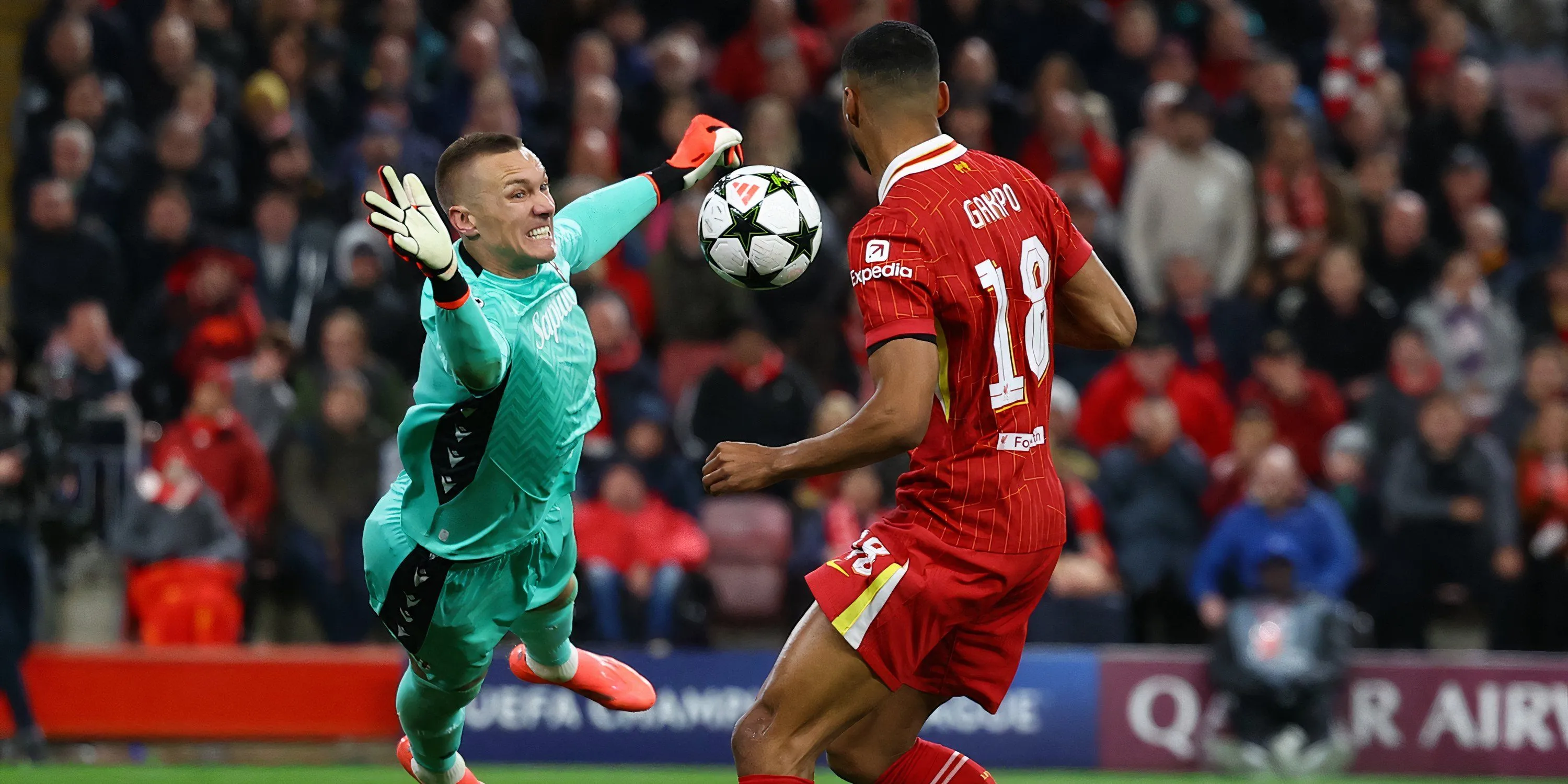 Cody Gakpo thi đấu tại Champions League cho Liverpool, chứng minh giá trị của mình