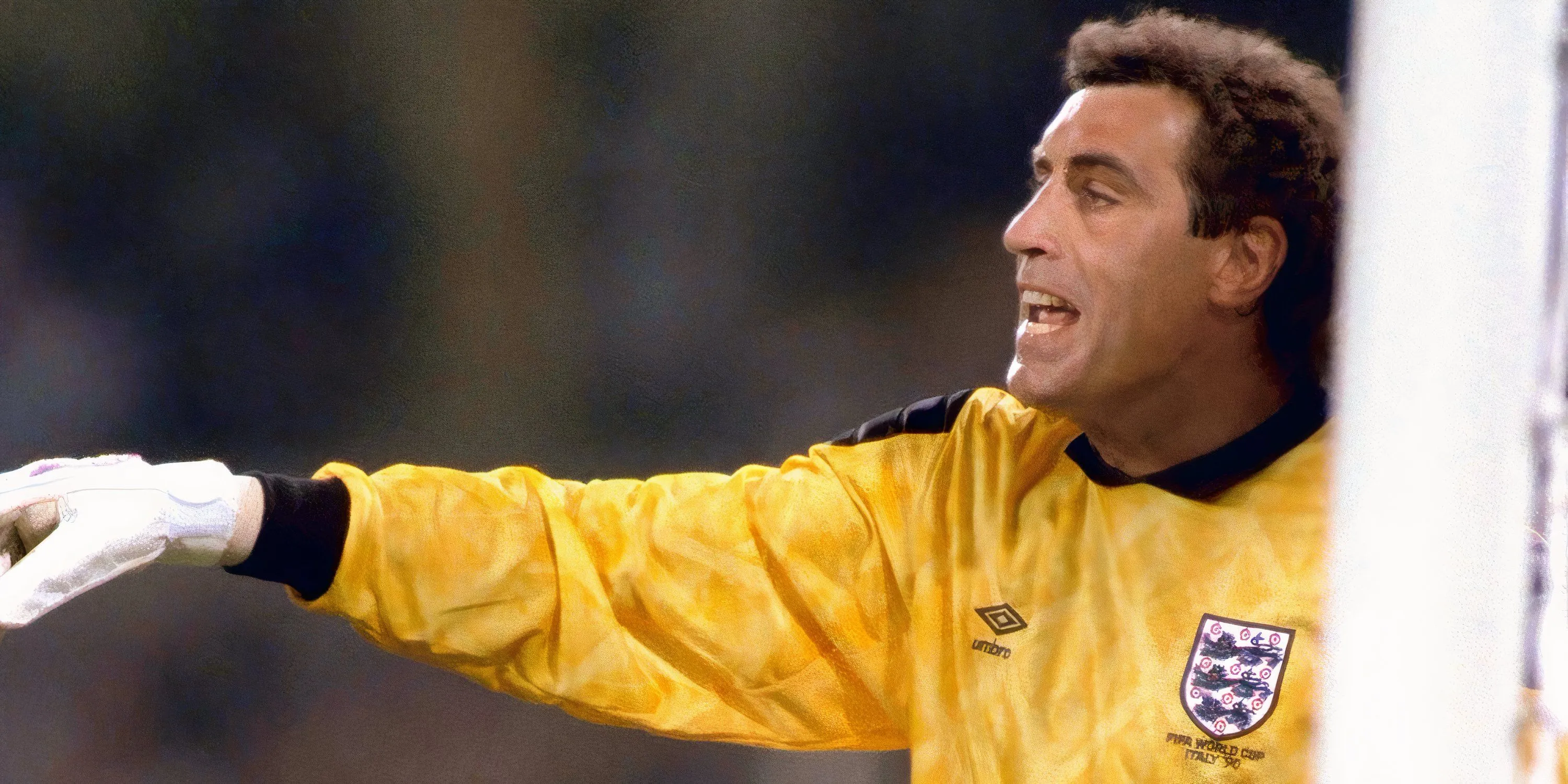 Thủ môn Peter Shilton, người nắm giữ kỷ lục về số lần ra sân chuyên nghiệp, minh chứng cho sự bền bỉ đáng kinh ngạc