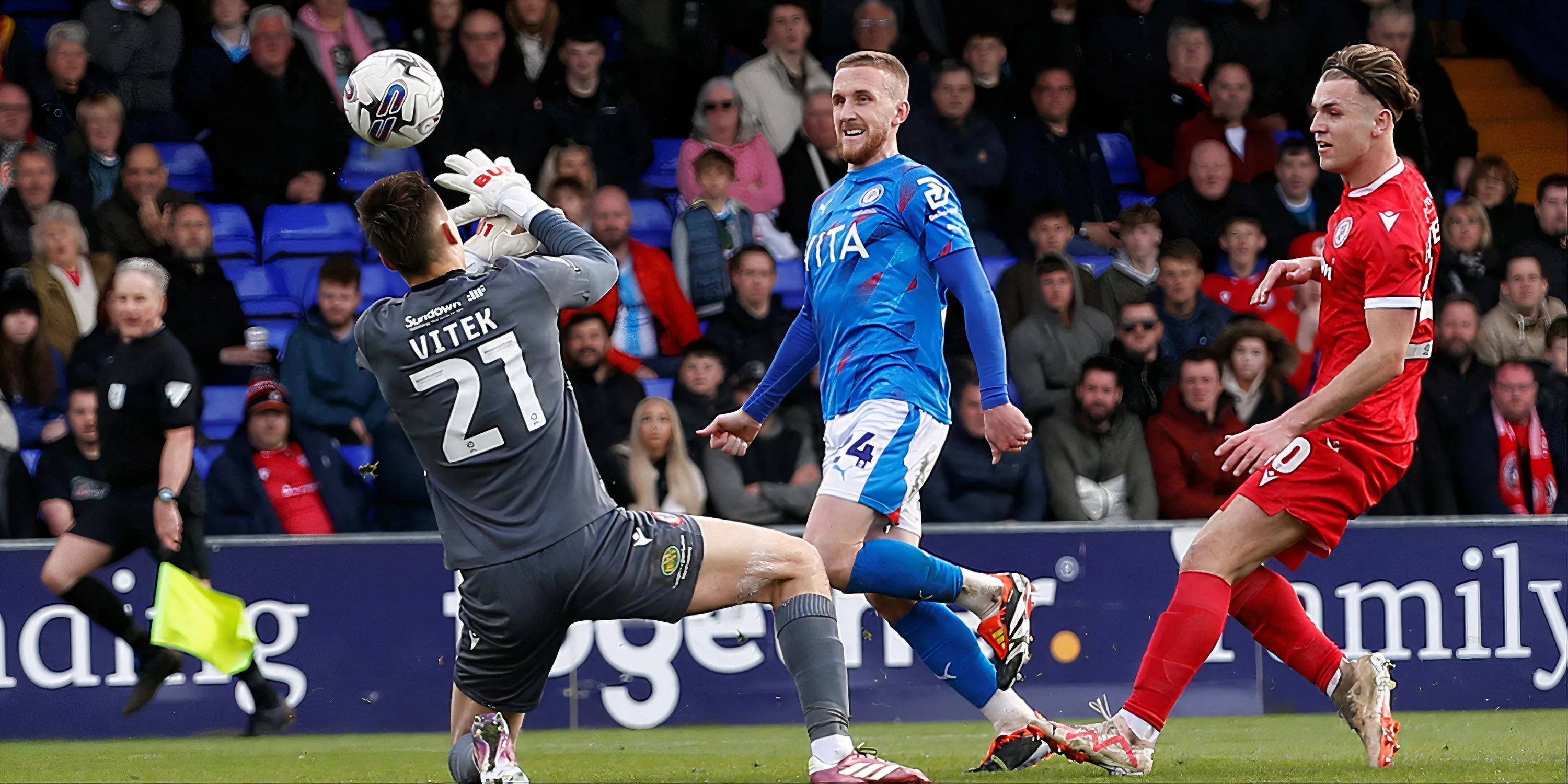 Radek Vitek đang chơi nổi bật trong màu áo Bristol City, ứng viên cạnh tranh vị trí tại Man United